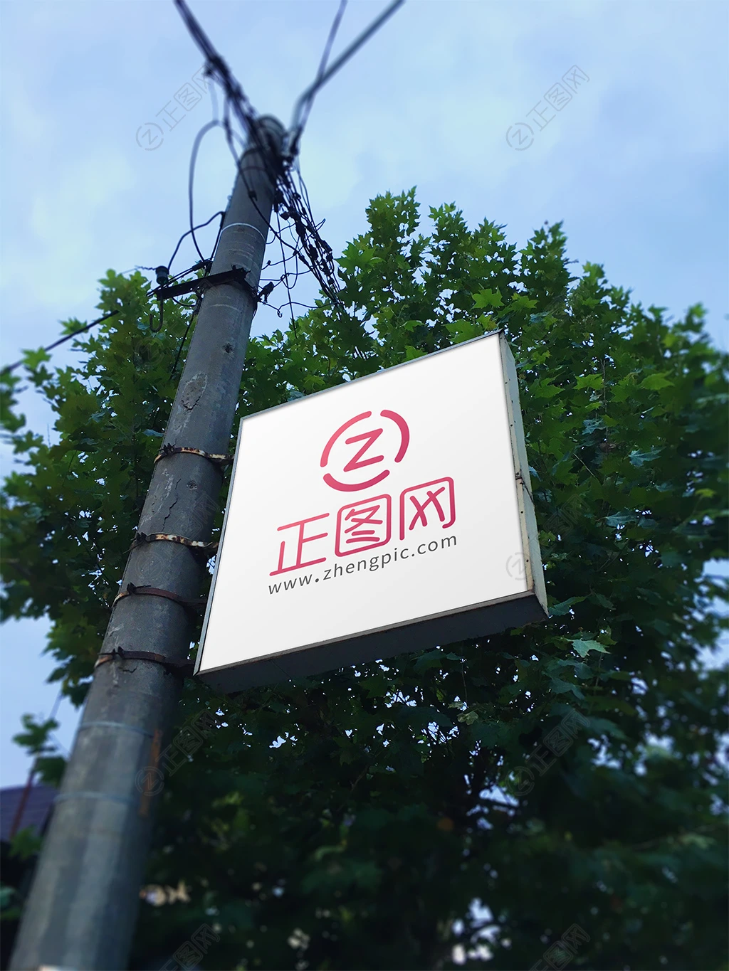 电线杆灯箱广告牌logo样机 电线杆灯箱广告牌logo样机