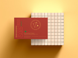 品牌名片样机模板