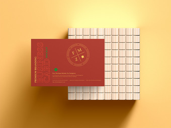 品牌名片样机模板