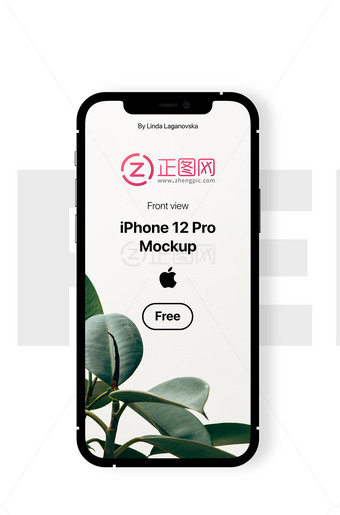 iPhone12Pro样机下载