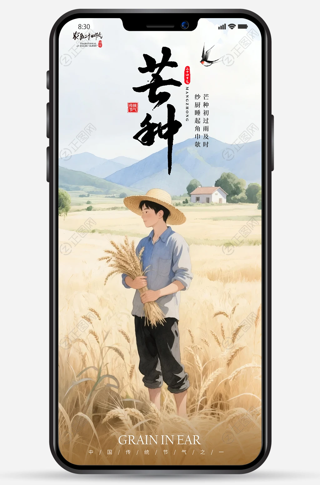 水彩风芒种海报 水彩风芒种海报